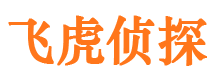 阜平侦探公司